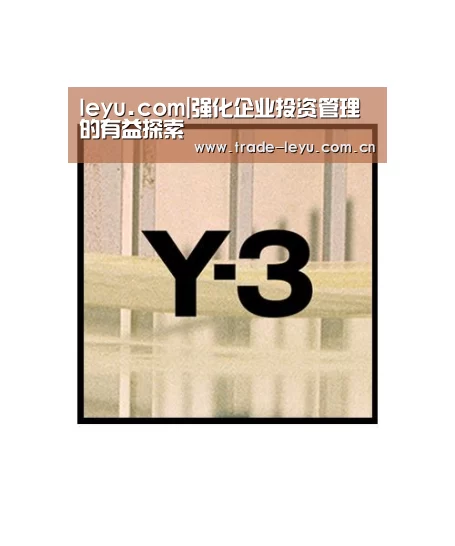 leyu.com|强化企业投资管理的有益探索(图1) leyu中国官网