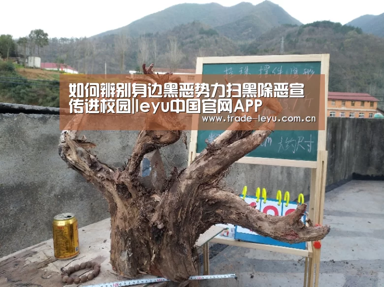 如何辨别身边黑恶势力扫黑除恶宣传进校园|leyu中国官网APP(图3) leyu中国官网APP