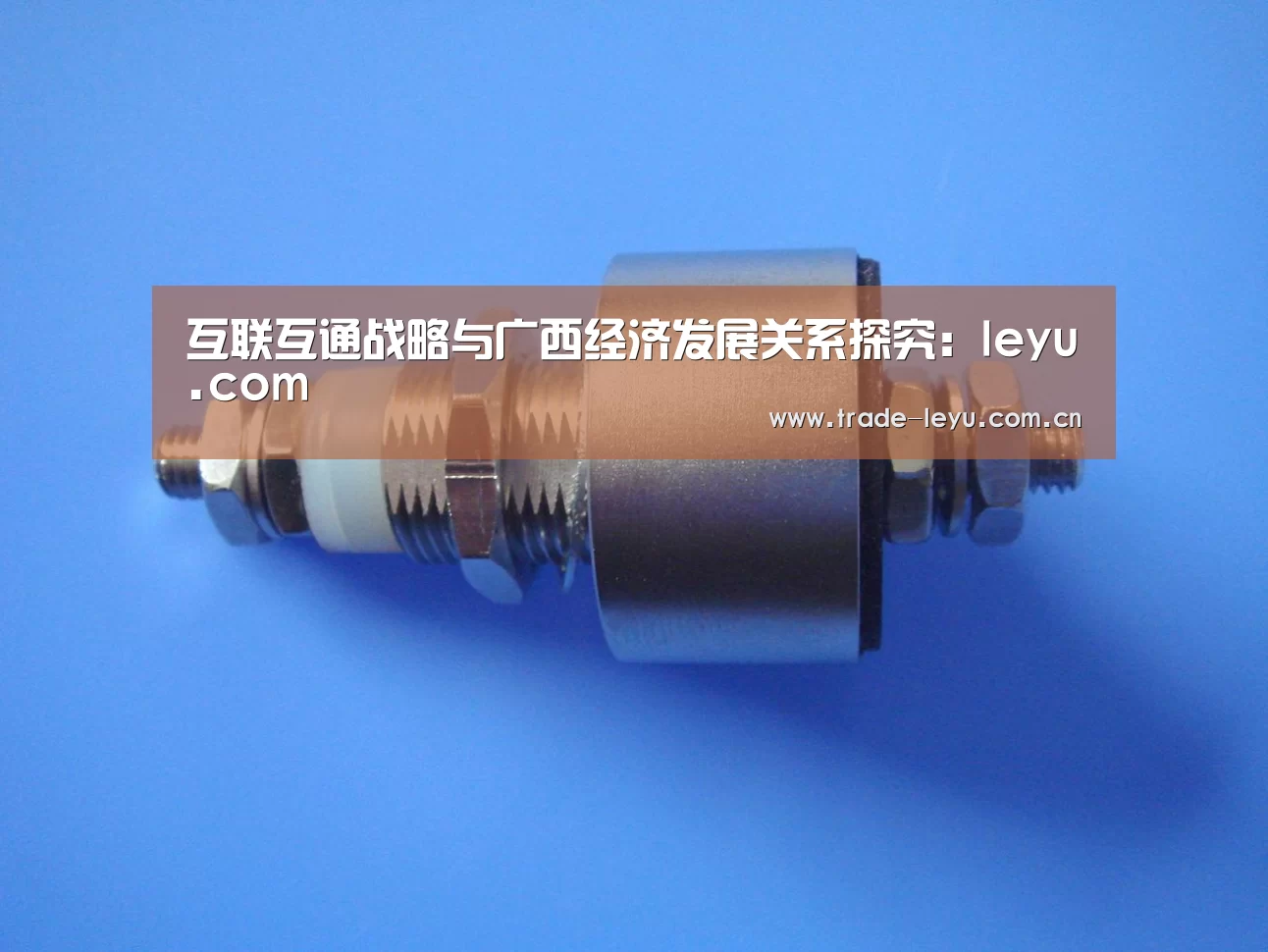 互联互通战略与广西经济发展关系探究:leyu.com(图1) 互联互通战略与广西经济发展关系探究:leyu.com(图1)